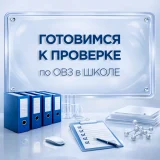 Пакет «Готовимся к проверке по сопровождению детей с ОВЗ и инвалидностью в школе»