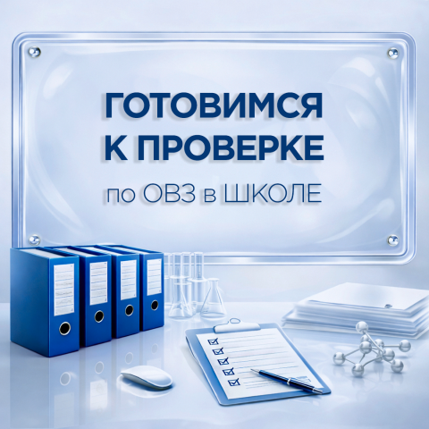 Пакет «Готовимся к проверке по сопровождению детей с ОВЗ и инвалидностью в школе»