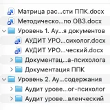 Пакет «Готовимся к проверке по сопровождению детей с ОВЗ и инвалидностью в школе»